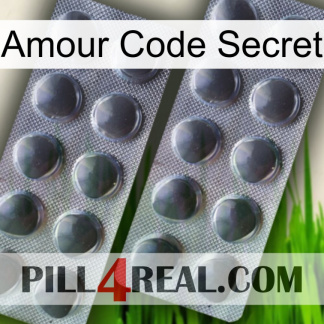 Love Secret Code 31